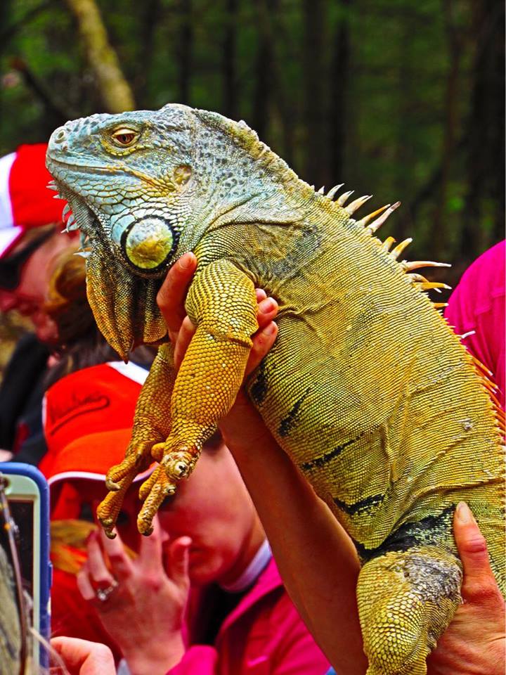 Kingdom Animalia Exotic Animal Rescue finds new home in Suring